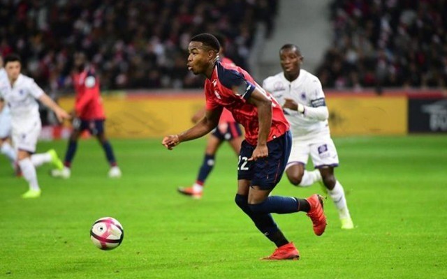 的感情动态 的感情动态